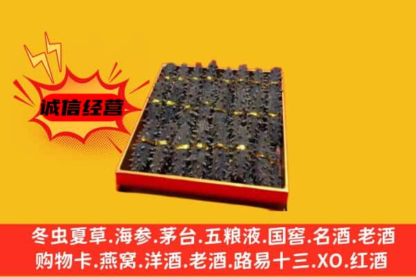 石拐区回收海参